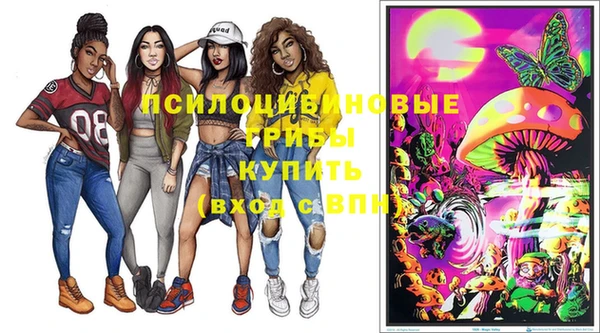индика Баксан