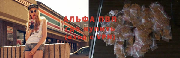 индика Баксан