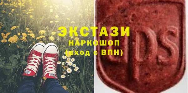 индика Баксан