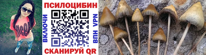 Галлюциногенные грибы ЛСД  даркнет сайт  Коммунар 