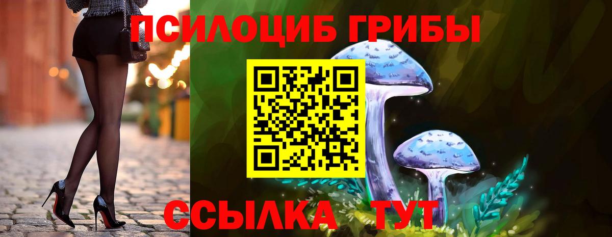 Галлюциногенные грибы Cubensis  Псилоцибиновые грибы мицелий  Вход с VPN  Коммунар 