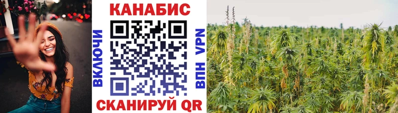 blacksprut   Коммунар  Марихуана AK-47 